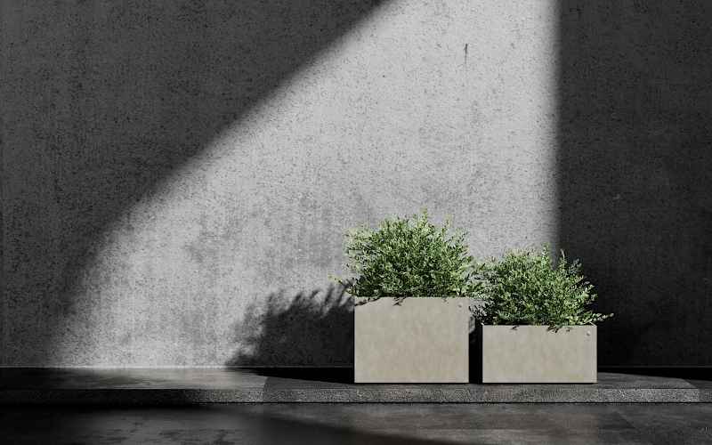 Planted Pot Semplo Minor Cosapots